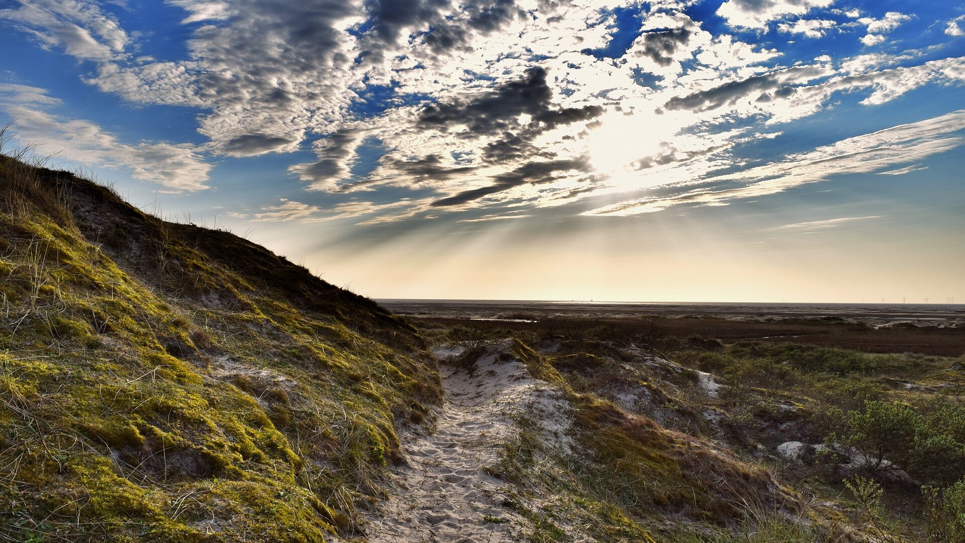 Flüge nach Borkum