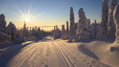 Lappland Schnee