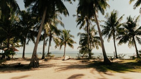 Flüge nach Koh Phangan